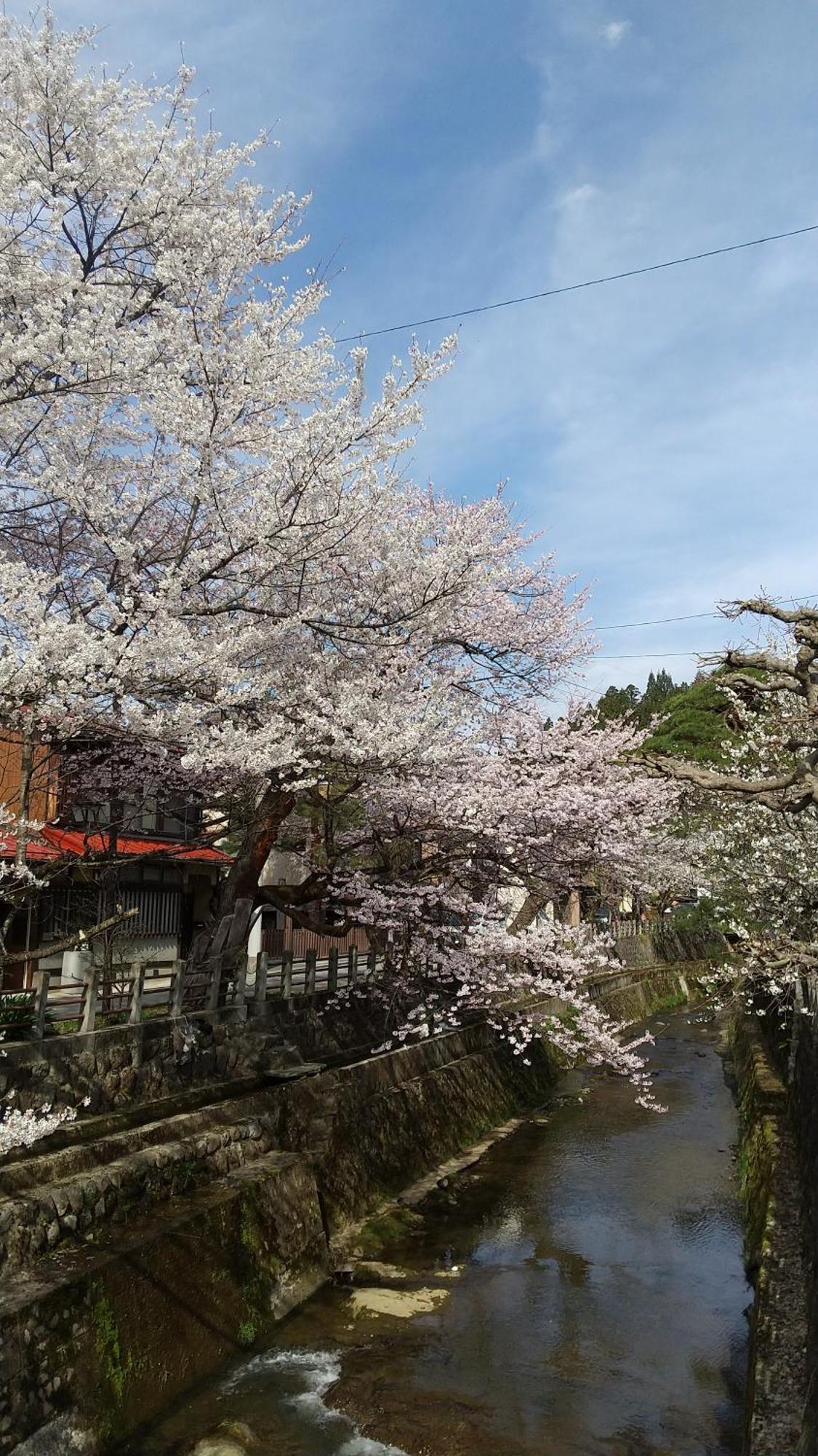 Daihachi Takayama (Gifu) Exterior foto